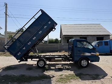 водный катер: Легкий грузовик, Hyundai, Стандарт, 3 т, Б/у — 8
