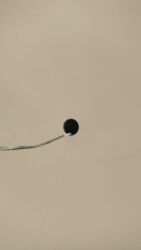 раннер работа: Талап кылынат Ар түрдүү жумуштарды жасаган жумушчу, Төлөм Сааттык, Тажрыйбасыз