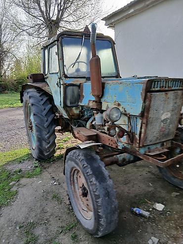 Тракторы МТЗ (Беларус): Модель: 80, Б/у, 1998 г. — 1