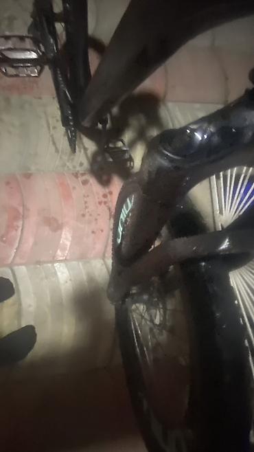 Dağ velosipedləri: Dağ velosipedi – 26” təkərli, disk əyləcli Xüsusiyyətlər: - Çərçivə — 2