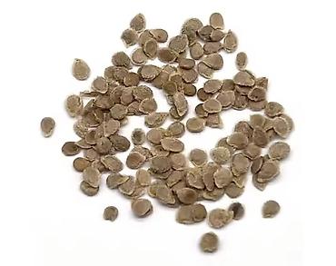 Томат: Семена томата «Гигант мясистый» (розово‑красный бифтомат, салатного — 1