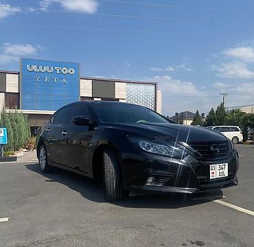 teana: Nissan Teana: 2019 г., 2 л, Автомат, Бензин, Седан — 2