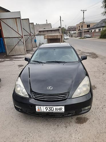 Lexus: Lexus ES: 2003 г., 3.3 л, Автомат, Газ, Седан — 5