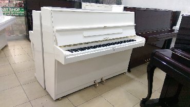 dukhovye muzykalnye instrumenty: Пианино, Платная доставка