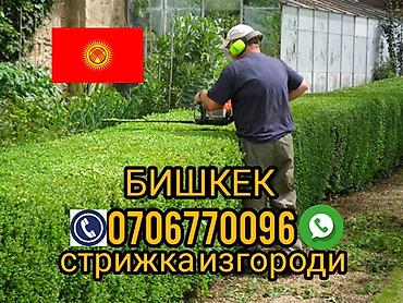 notebook: Профессиональная стрижка живых изгородей и кустарников в Бишкеке. - — 1