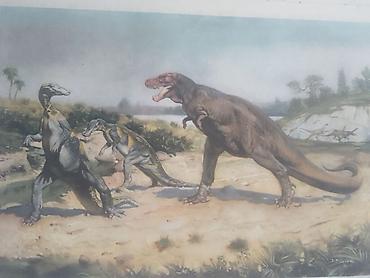Ev üçün dekor: Məhsul: Dinozavr mövzusunda vintage illüstrasiya çapları dəsti — 1