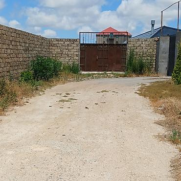 bartee: 10 sot, Tikinti, Mülkiyyətçi — 3