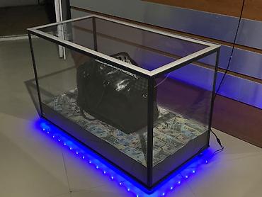 Rəf vitrinləri: LED işıqlı şüşə vitrin/masa - Material: dörd tərəfi şəffaf şüşə — 1