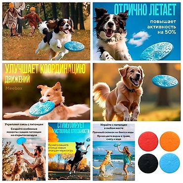 Зоотовары: Продаю игрушку/когтеточку/лежанку 3в1,с кошачей мятой,вашему котику — 24