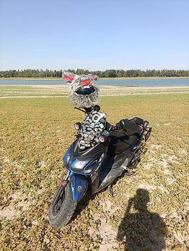 Скутеры: Тип скутера 160 куб. см, Бензин, Б/у — 4