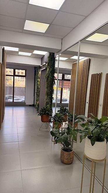 готовые офисы: Сдаю Офис целиком: 30 м², В бизнес центре, С ремонтом, Первая линия — 6