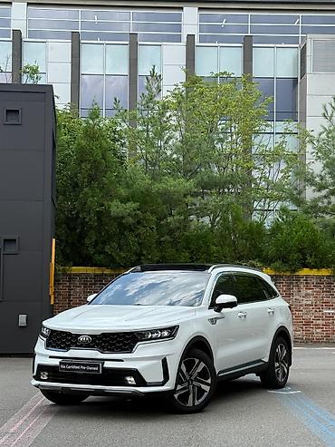 2023: Kia Sorento: 2023 г., Кроссовер — 3