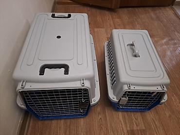 Зоотовары: Зоотовары. животные. Переноска номер 3размер 66.47.46 контейнер для at lalafo.kg — 1 Зоотовары: Зоотовары. животные. Переноска номер 3размер 66.47.46 контейнер для — 1