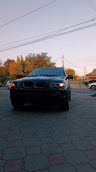 BMW X5: 2004 г., 4.4 л, Автомат, Бензин, Внедорожник