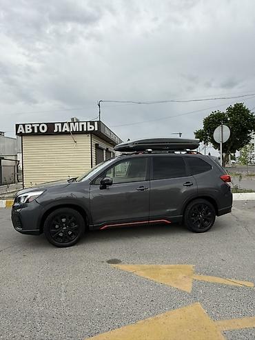 пороги форестер: Subaru Forester: 2020 г., 2.5 л, Вариатор, Бензин, Кроссовер — 3