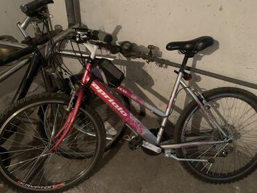 bicikla za devojcice: Zenski bicikl vozen kratko