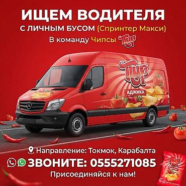 Работа: Требуется Водитель автобуса, буса, Категория прав (D) — 1