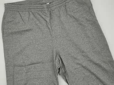 spodnie dresowe z prostą nogawką: Sweatpants, H&M, 2XL (EU 44), condition - Good