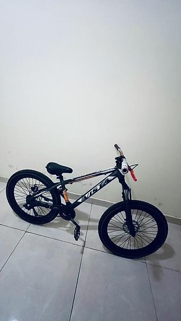velosipet motoru: Uşaq velosipedi– VISTA Xırdalan At Heykelinin Yanı Gövdə ölçüsü və 24" — 4