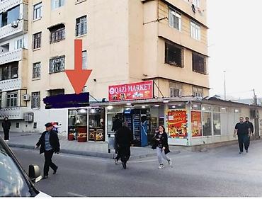 fındıq bağı satılır: Unvan Qaracuxur Qesebesı 146 mekteble uzbeuz 100 kv yerdır hal hazırda — 8
