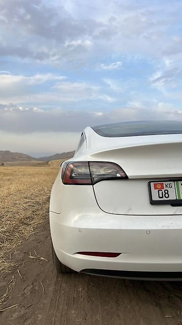 тесла модел 3: Tesla Model 3: 2020 г., Автомат, Электромобиль, Седан — 5