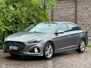 plate norm: Hyundai Sonata: 2018 г., 2.4 л, Автомат, Бензин, Седан