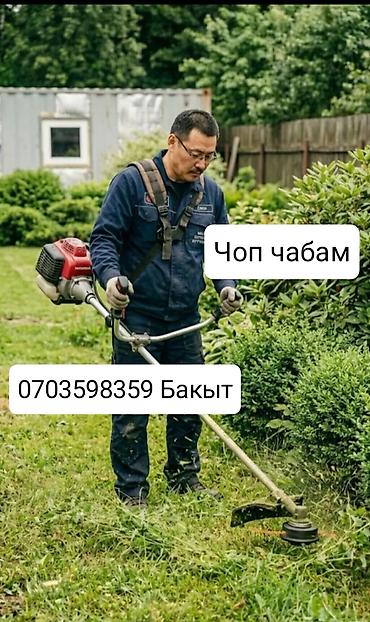 Услуги садовника и озеленение. - Формовочная стрижка хвойных: ель