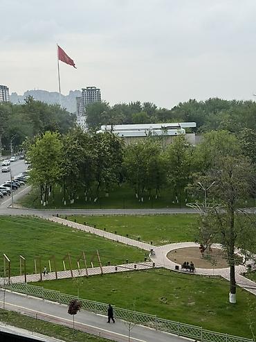 Долгосрочная аренда квартир: Студия, С мебелью полностью — 2