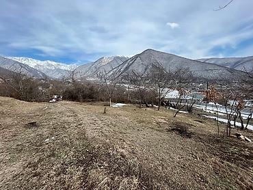 sabirabad torpaq: 7 sot, Mülkiyyətçi, Kupça (Çıxarış), Bələdiyyə — 4