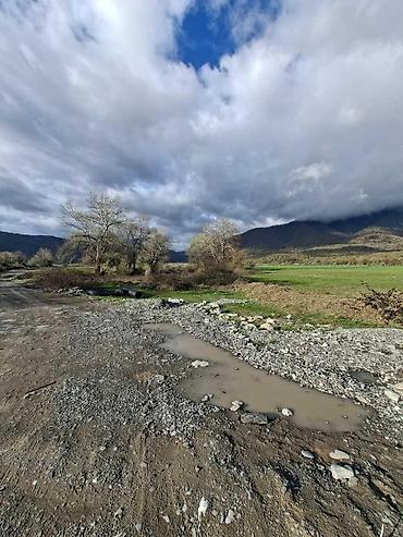 Daşınmaz əmlak: 110 sot, Biznes üçün, Kupça (Çıxarış) — 8