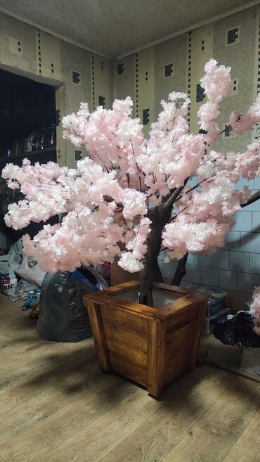 Декоративные цветы: Сакура искусственное дерево высота 2 м ширина 2 м цена от 1000 сом at lalafo.kg — 23 Декоративные цветы: Сакура искусственное дерево высота 2 м ширина 2 м цена от 1000 сом — 23
