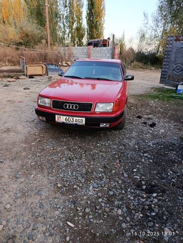 Audi: Audi 100: 1991 г., Седан — 3