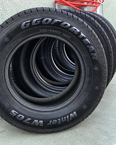 255 65 17: Зимние шины GGoFortear Winter W705 - Размер: 225/65 R17 - Индекс — 1