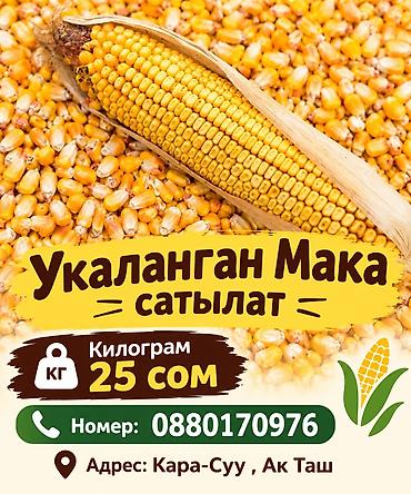 Дроблёная кукуруза - Продукт: дроблёная кукуруза (сырая фуражная