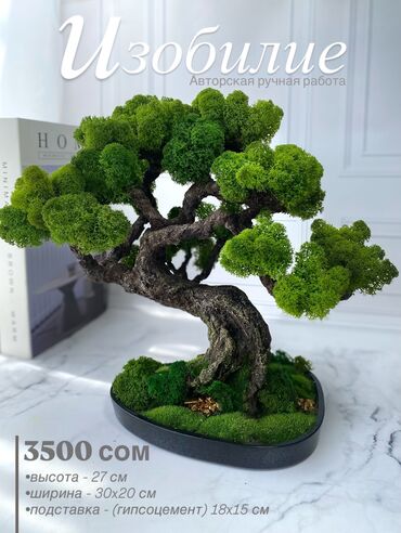 ульи пчелы: Деревья-бонсай из натурального стабилизированного мха🌳 -это
