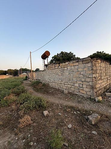 Torpaq sahələrinin satışı: Kənd təsərrüfatı, Mülkiyyətçi -da lalafo.az — 2 Torpaq sahələrinin satışı: Kənd təsərrüfatı, Mülkiyyətçi — 2
