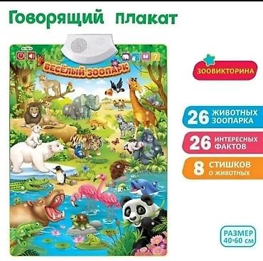 шаровая молния: Говорящие плакаты на батарейках — 2