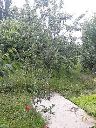 пустые земельные участки: 3 комнаты, 64 м², 16 соток, Манас (Джалал-Абад), Собственник — 6
