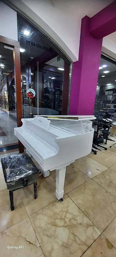 Musiqi alətləri: Elektro piano "Allegro" Royal royal ✅ Bir kart və Tam kartla 12, 18 — 3