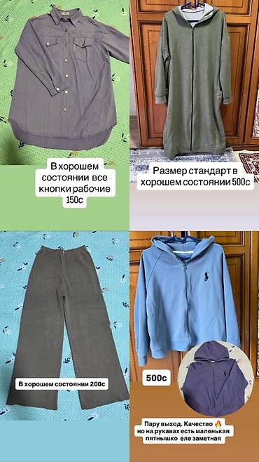 Толстовки, худи: Толстовка, Стандарт — 4