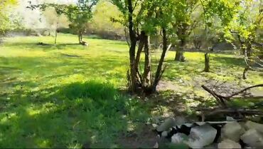 Torpaq sahələrinin satışı: 85 sot, Kənd təsərrüfatı, Mülkiyyətçi, Kupça (Çıxarış) -da lalafo.az — 3 Torpaq sahələrinin satışı: 85 sot, Kənd təsərrüfatı, Mülkiyyətçi, Kupça (Çıxarış) — 3