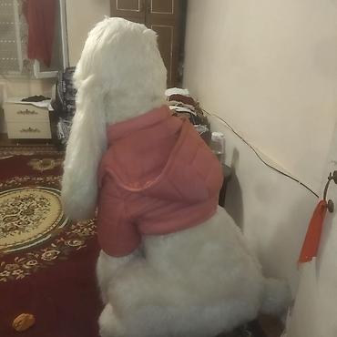toy pudil: Satıram brend maldır yenidir Nəhəng plyuş pudel fiquru - Realistik — 5