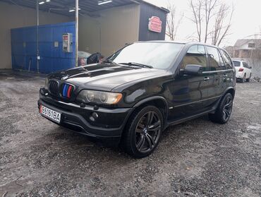 BMW: BMW X5: 2004 г., 4.6 л, Типтроник, Бензин, Внедорожник