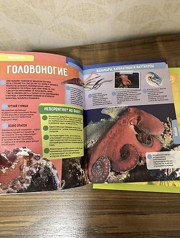 Школьные учебники: Hamısına 15 man 6 eded kitab 3 eded enseklopediya təzədir! Uşaqlar — 5