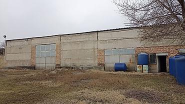 сокулуе: 7600 м² — 9