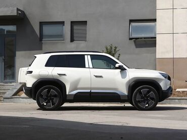 BYD: BYD : 2025 г., Электромобиль, Внедорожник — 6