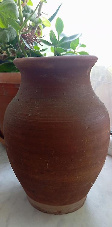biol: Saxsı qab — 1
