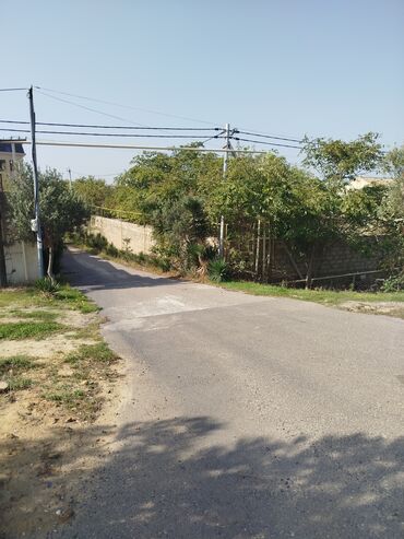 Videomüşahidə: Merkanda kupçalı 14 sot torpaq satılır içinde köhne tikili var yol — 5