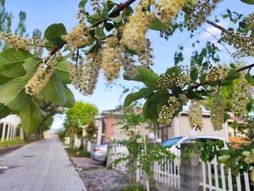 Иссык-Куль 2025: Коттедж, 35/3, 4-комнатный ЦО Радуга West, Кош-Кол, Детская площадка, Парковка, стоянка, Охраняемая территория — 21