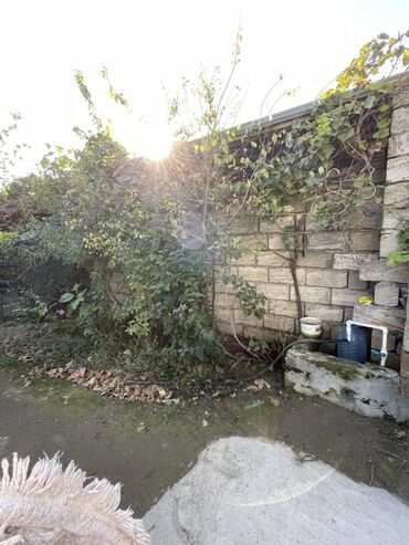 Həyət evləri və villaların satışı: Həyətyanı sahəsi olan fərdi ev - Həyətdə avtomobil üçün dayanacaq — 2